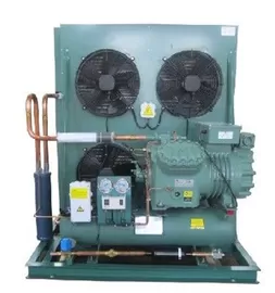 China Air cooled Refrigeration condenser Unit for cold storage room exporter